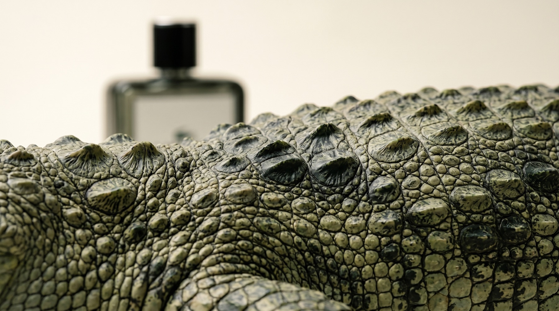 Lacoste Fragrance campaign