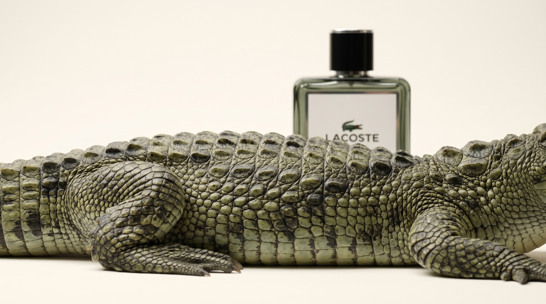 Luxury fragrance campaign featuring a Lacoste bottle and crocodile